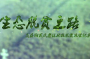 《生态脱贫之路——岚县购买式造林助推脱贫攻坚纪实》